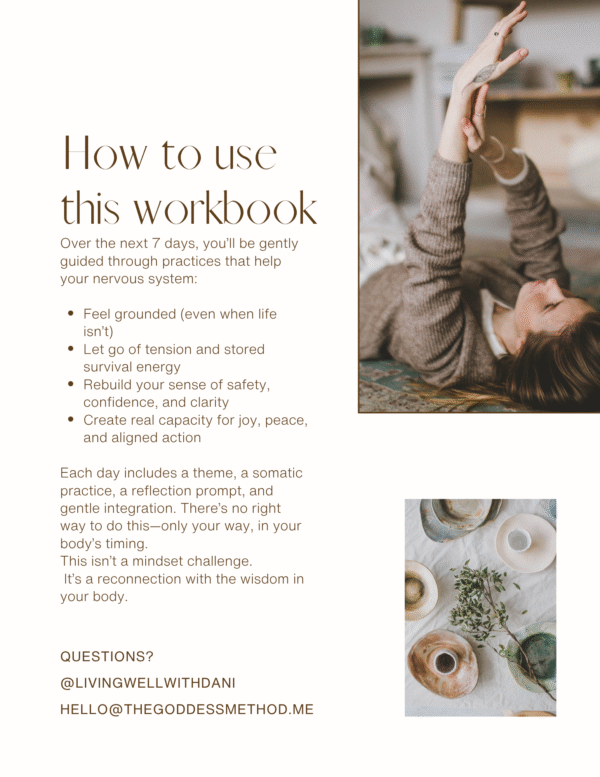 7-Day Nervous System RESET - Image 2